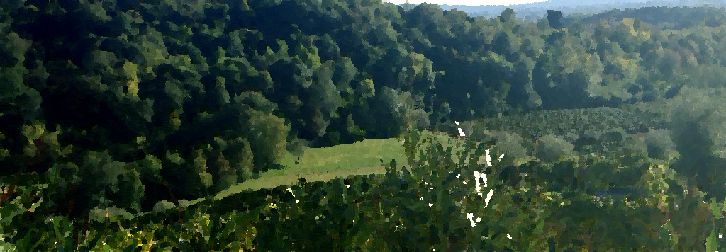 Conegliano Discovery Guide